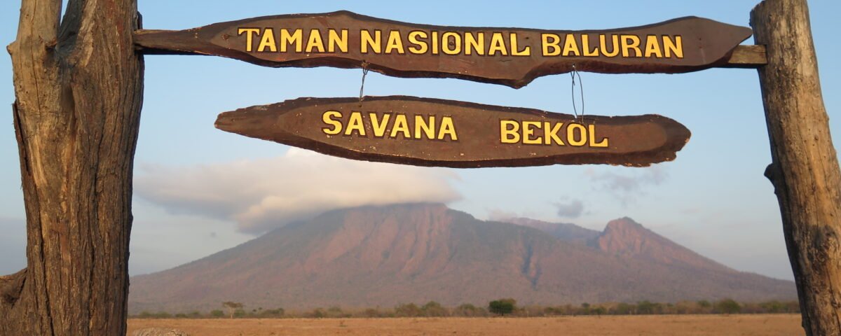 Africa_Van_Java_di_Savana_Baluran_Situbondo_Jawa_Timur » berkah jaya trans
