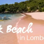 Pink-Beach-trip-in-Lombok » berkah jaya trans