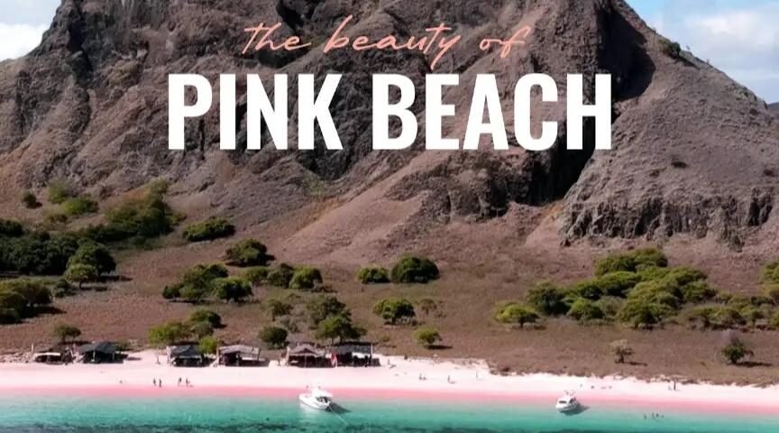 snaptik_7557947377802562827_0_v2 » berkah jaya trans