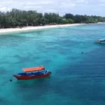 Screenshot_5-4290410521 » berkah jaya trans