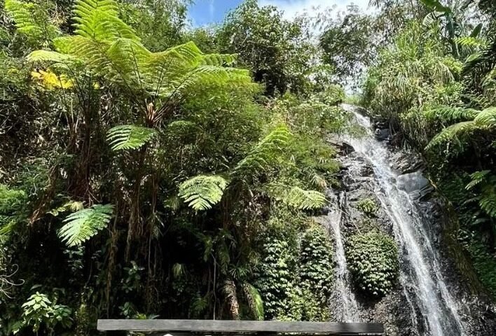 WhatsApp Image 2026-04-01 at 134236 » berkah jaya trans