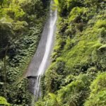 WhatsApp Image 2026-04-01 at 153155 » berkah jaya trans