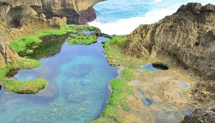 dsc-1012-largejpg » berkah jaya trans