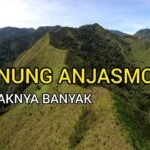 maxresdefault 6 » berkah jaya trans