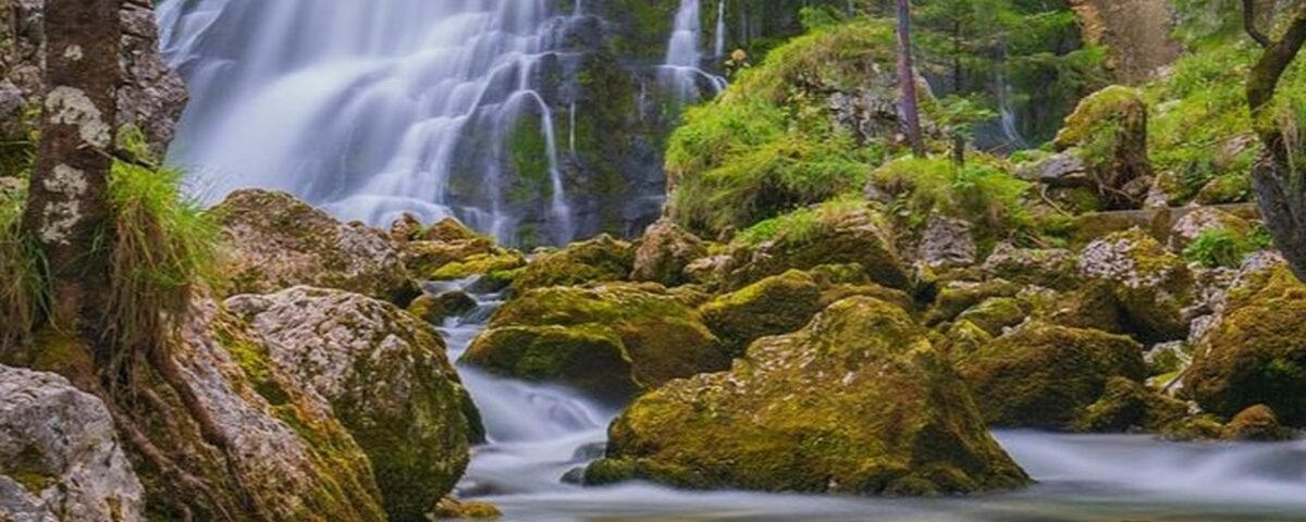 newsCover_2023_7_14_1689308428499-uosl7 » berkah jaya trans