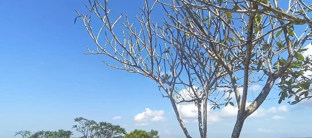 snaptik_7514655031619046712_1_v2 » berkah jaya trans