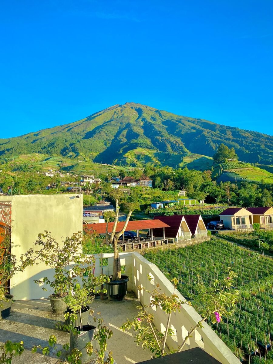 Silancur Highland memiliki banyak spot foto kekinian, mulai dari gardu pandang, taman bunga, hingga area view deck dengan latar pegunungan.