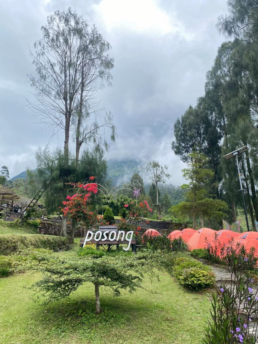 Berfoto dengan latar pegunungan juga menjadi aktivitas favorit, terutama bagi pecinta konten visual.
