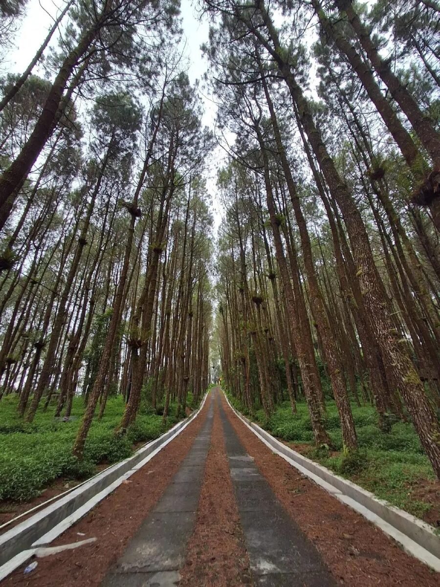 Jarak menuju lokasi:
