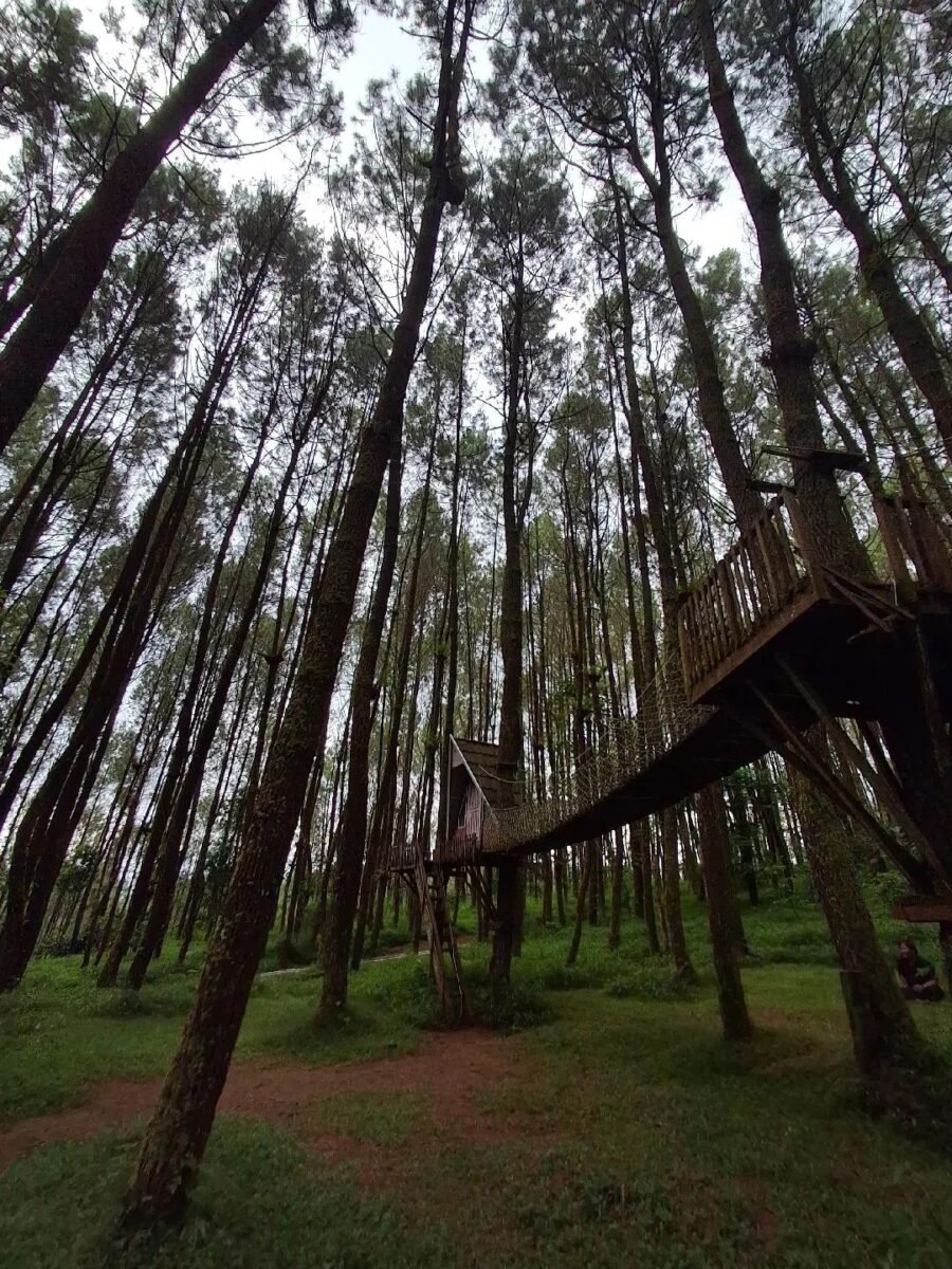 Harga dapat berubah sewaktu-waktu mengikuti kebijakan pengelola wisata.